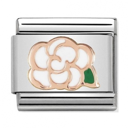 Element Nomination   - 430202/02